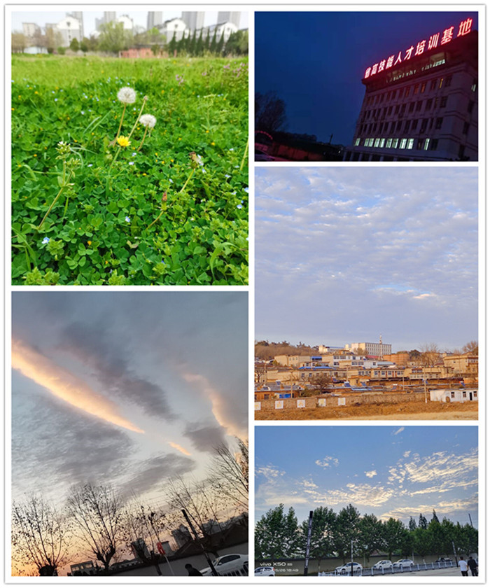 0423-4.jpg